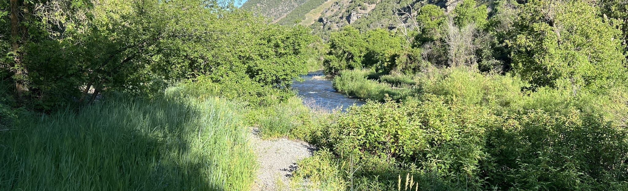 Logan River Trail Canyon Entrance Park 310 photos Utah AllTrails