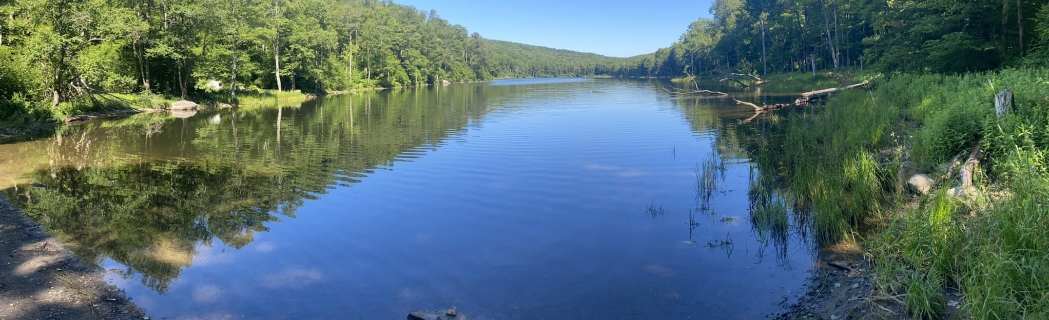 Trout Pond and Mud Pond Loop: 139 Reviews, Map - New York | AllTrails