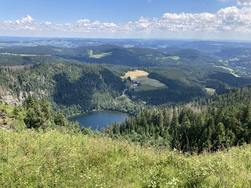 Feldbergsteig (Genießerpfad)