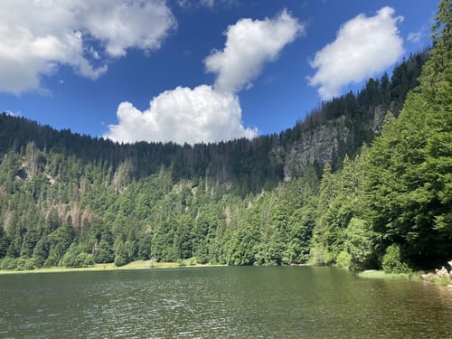 Feldbergsteig (Genießerpfad)