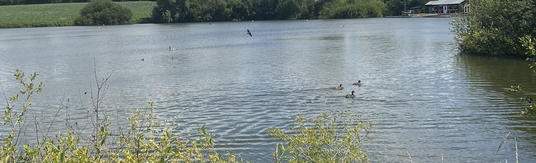 PantyrOchain and Gresford Walk 55 Reviews, Map Wrexham, Wales