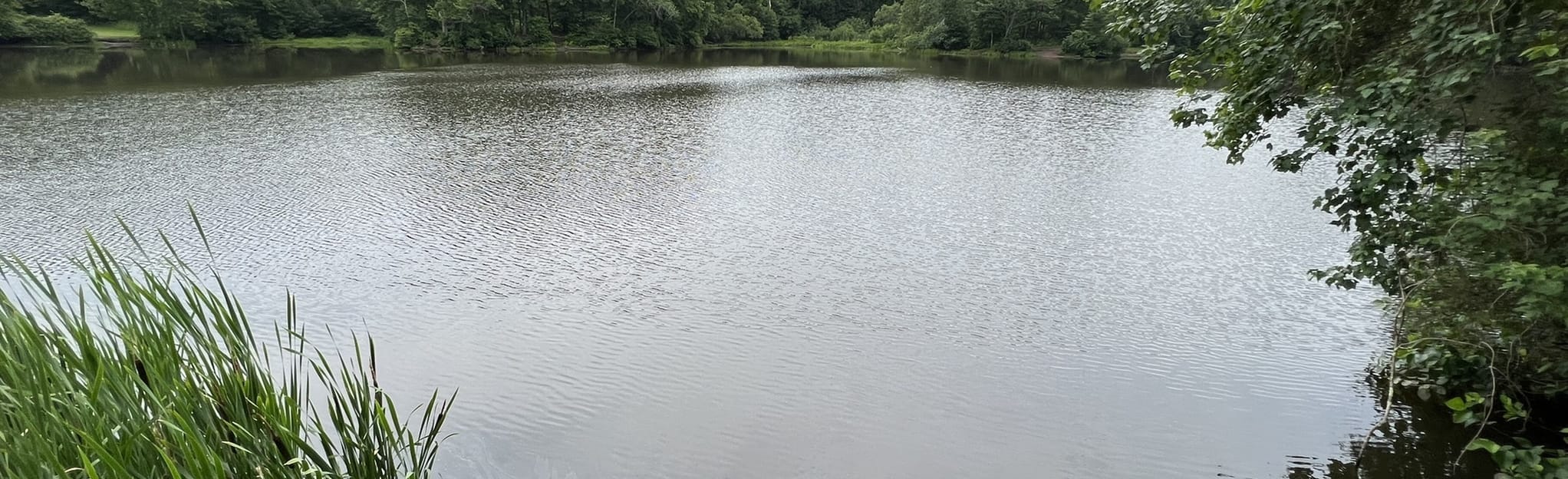 Vernon Rails to Trail from Valley Falls Park 170 Reviews, Map