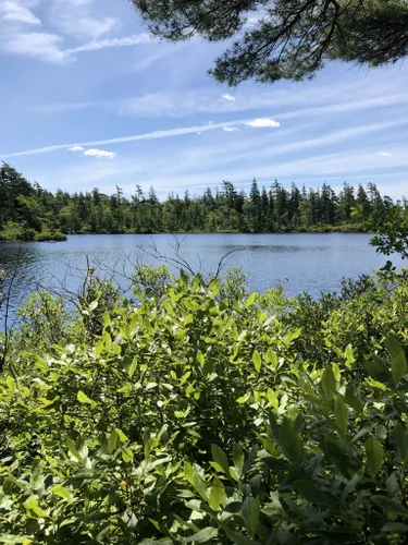 10 Best Bird Watching Trails in Nova Scotia | AllTrails