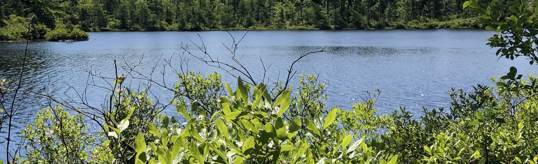 Fox Lake, Crane Lake, and Ash Lake Loop 717 Fotos Nova Scotia