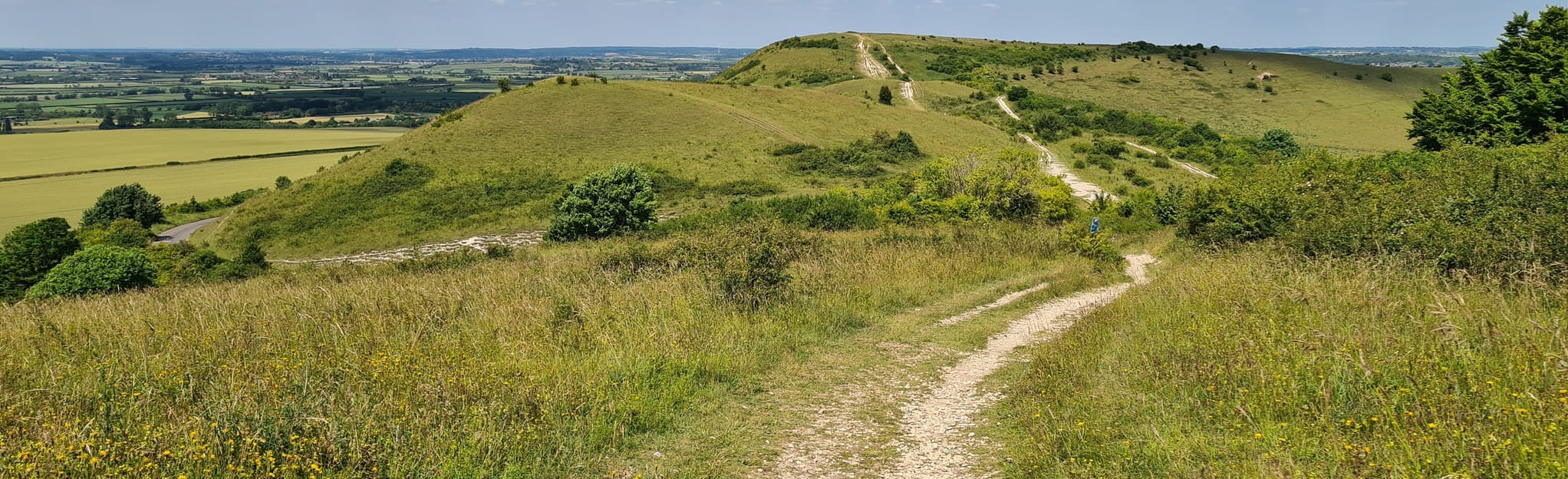 Ivanhoe Beacon and Steps Hill Circular 978 Fotos Hertfordshire