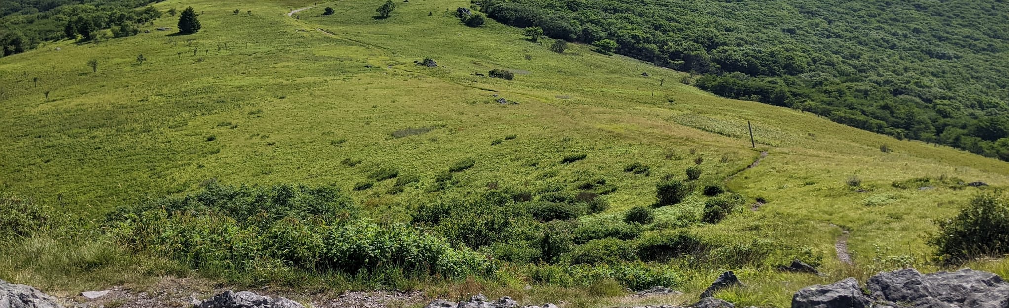 Appalachian Trail Whitetop Mountain to Green Cove Creek Virginia