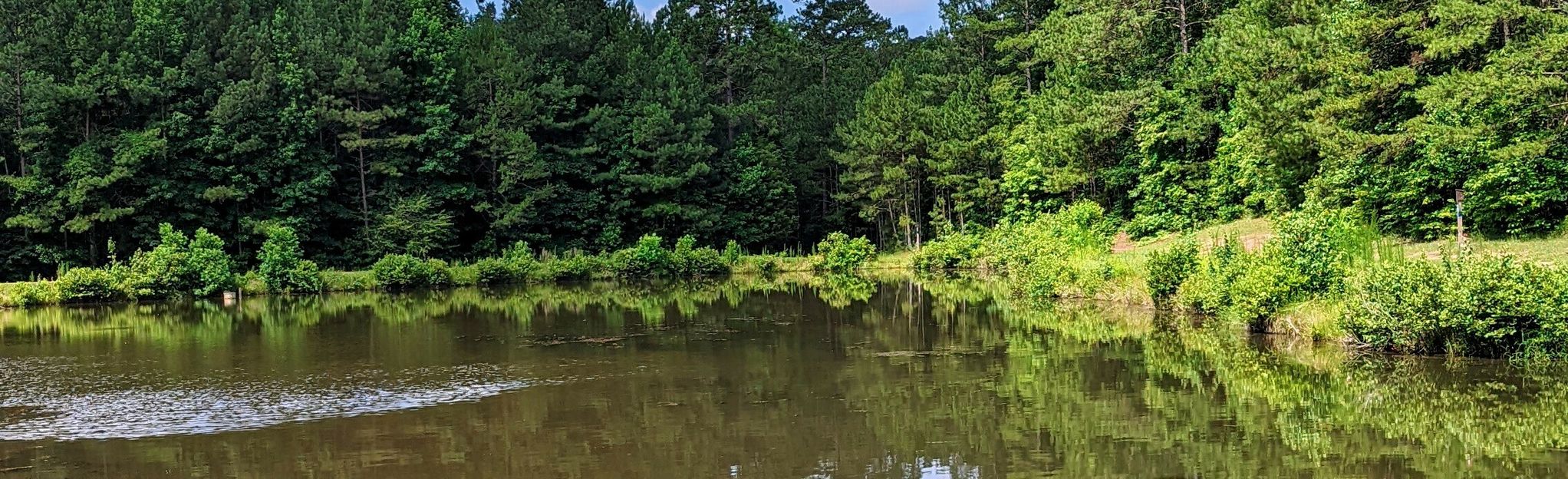 Brown's Mill Battlefield Red Loop: 87 Reviews, Map - Georgia | AllTrails