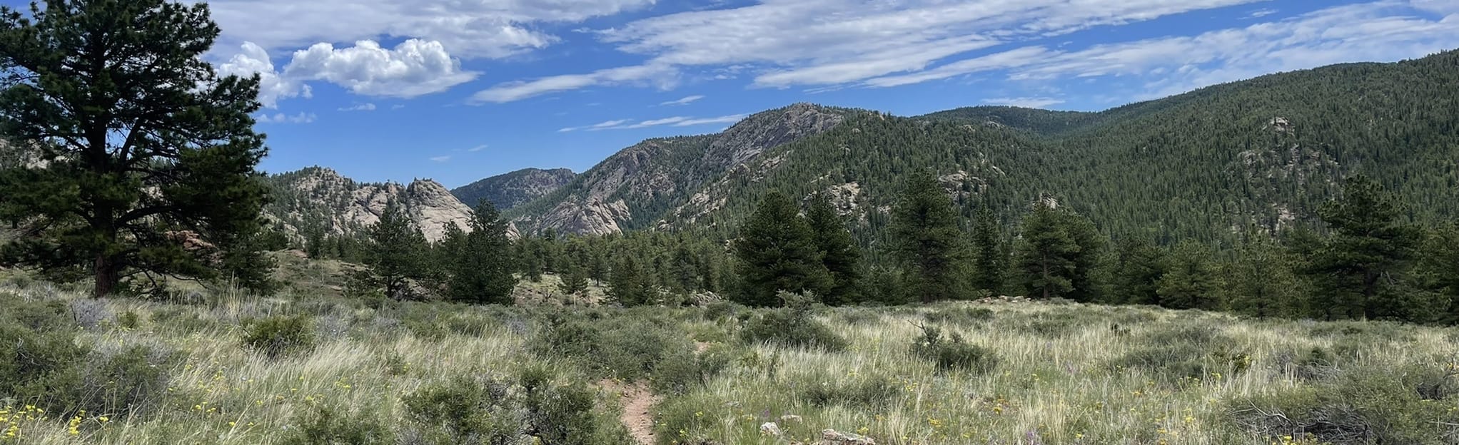 Allenspark to Fox Creek Grotto, Colorado 108 Reviews, Map AllTrails