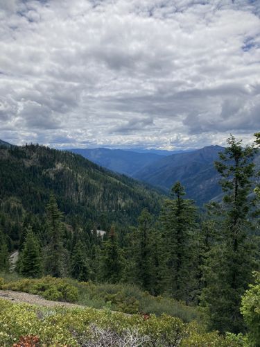 are dogs allowed at klamath national forest