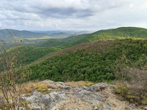 10 Best Dog Friendly Trails in Maine | AllTrails