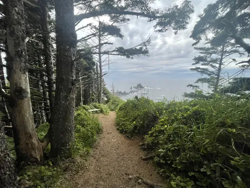 Ecola state hotsell park hiking trails