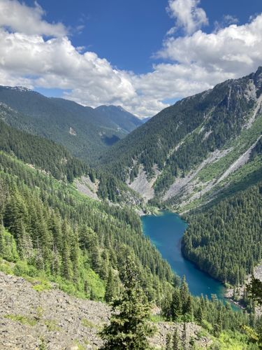 are dogs allowed at chilliwack lake