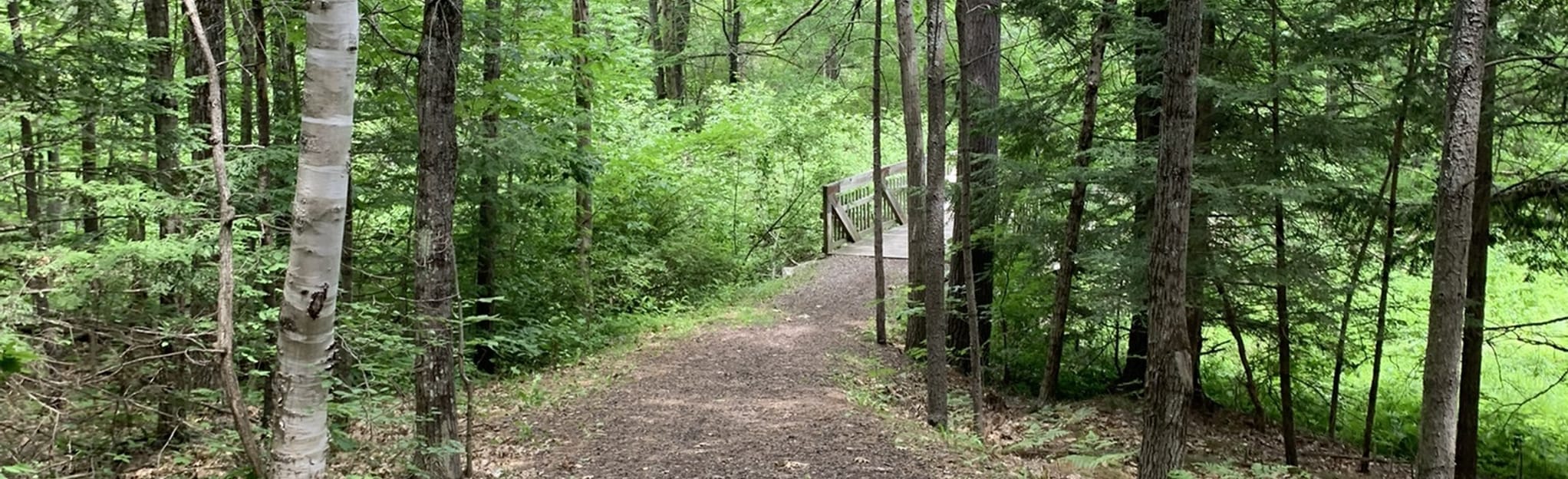Augusta Nature Center Loop: 146 Reviews, Map - Maine | AllTrails