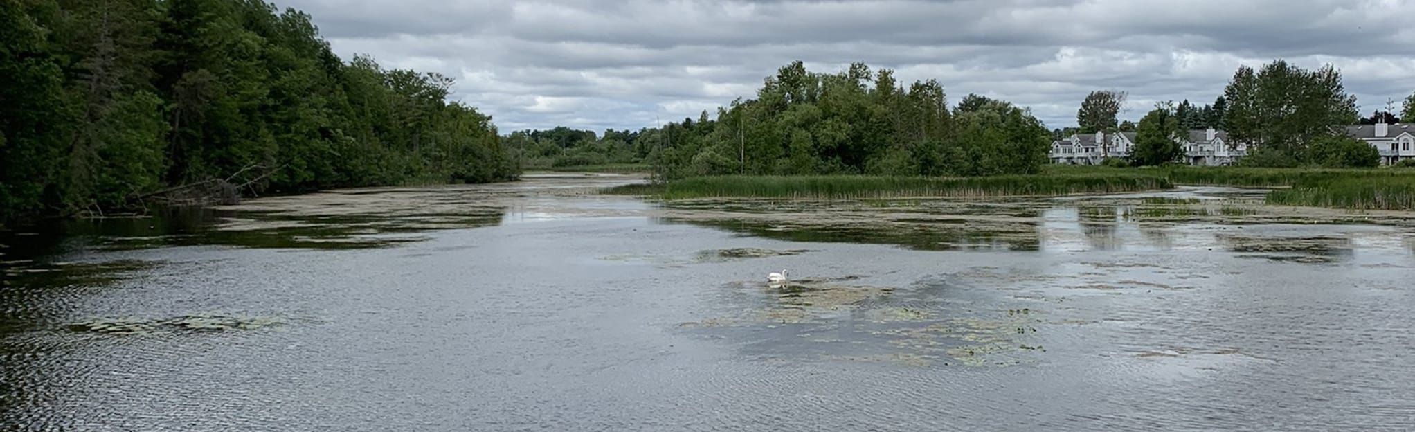 Alpena Island Trail, Michigan Map, Guide AllTrails