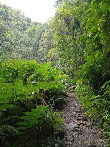 10 Best Trails and Hikes in Guadeloupe