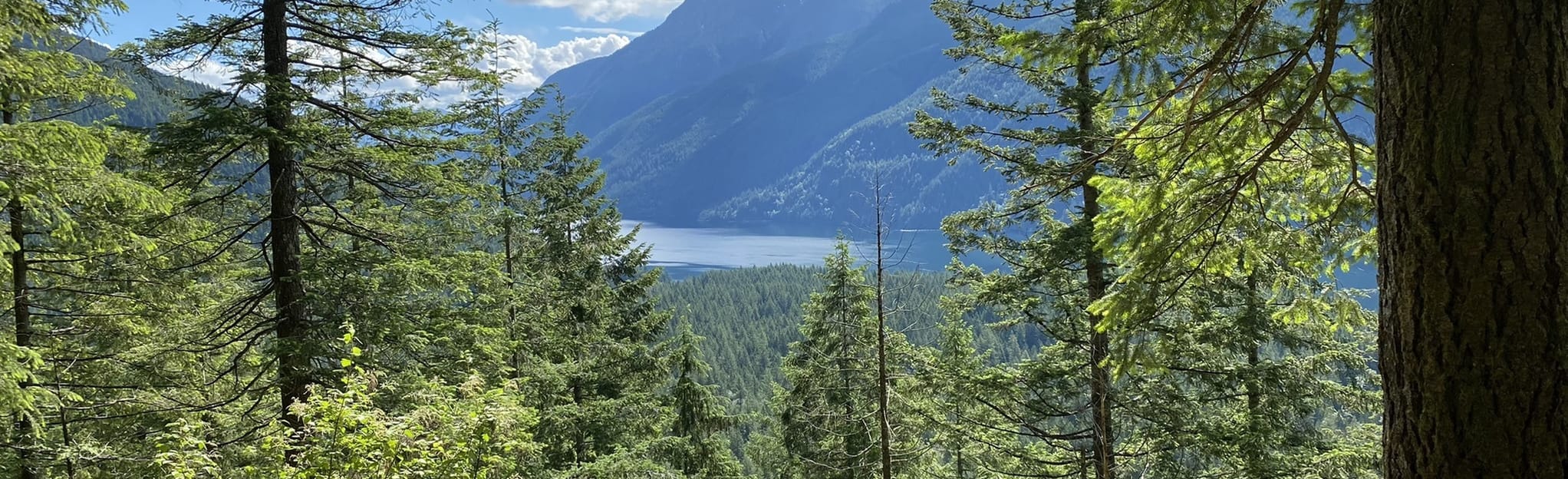 Alouette Lake Viewpoint Trail, British Columbia, Canada 302 Reviews