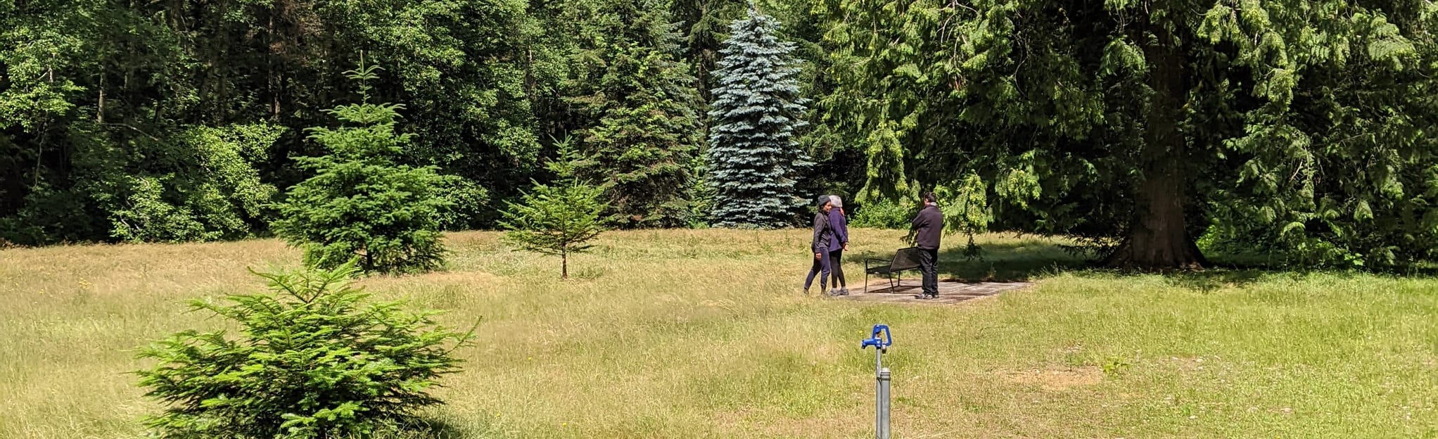 Qualicum Beach Heritage Forest, British Columbia, Canada 123 Reviews