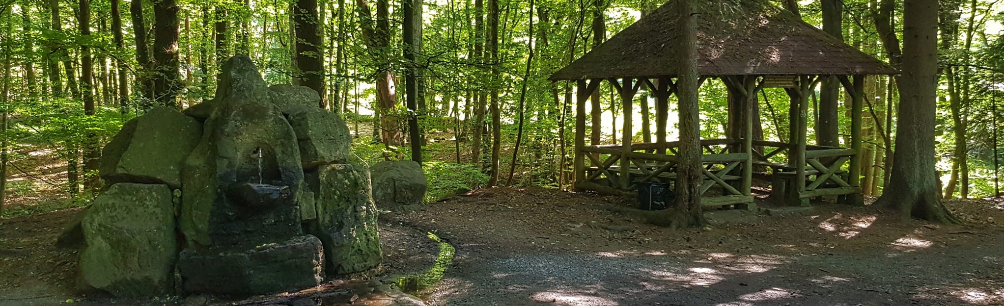 Rundwanderweg Bad König Erlenbrunnen 2 EckertsbergWeg, Hesse, Germany