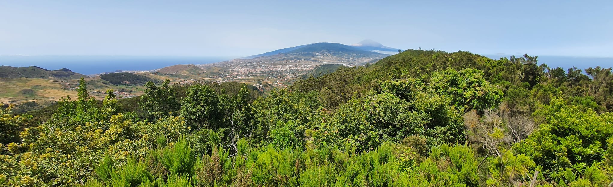 Llano De Los Viejos Mirador De Zapata 389 Fotos Teneriffa Spanien 