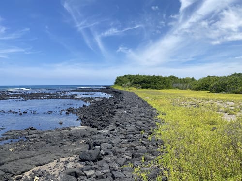 2023 Best 10 Trails and Hikes in Kailua Kona | AllTrails