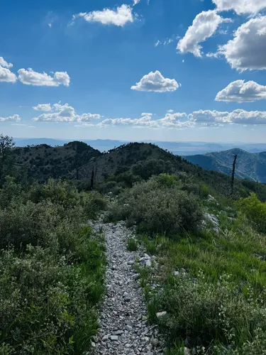 Wilderness clearance peak trail