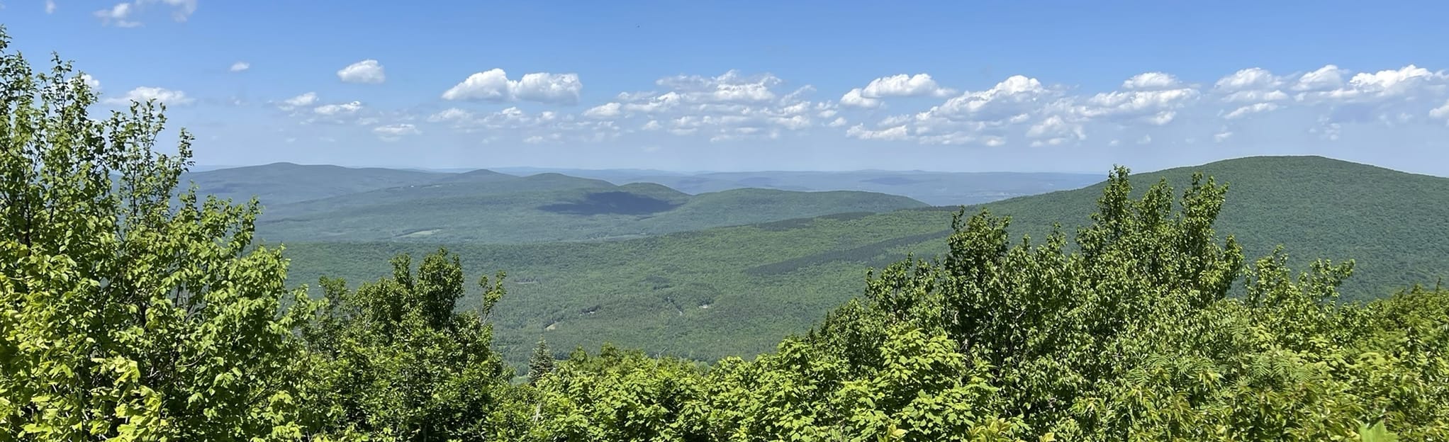 Thomas Cole Mountain via Black Dome Range Trail, New York 206 Reviews, Map AllTrails