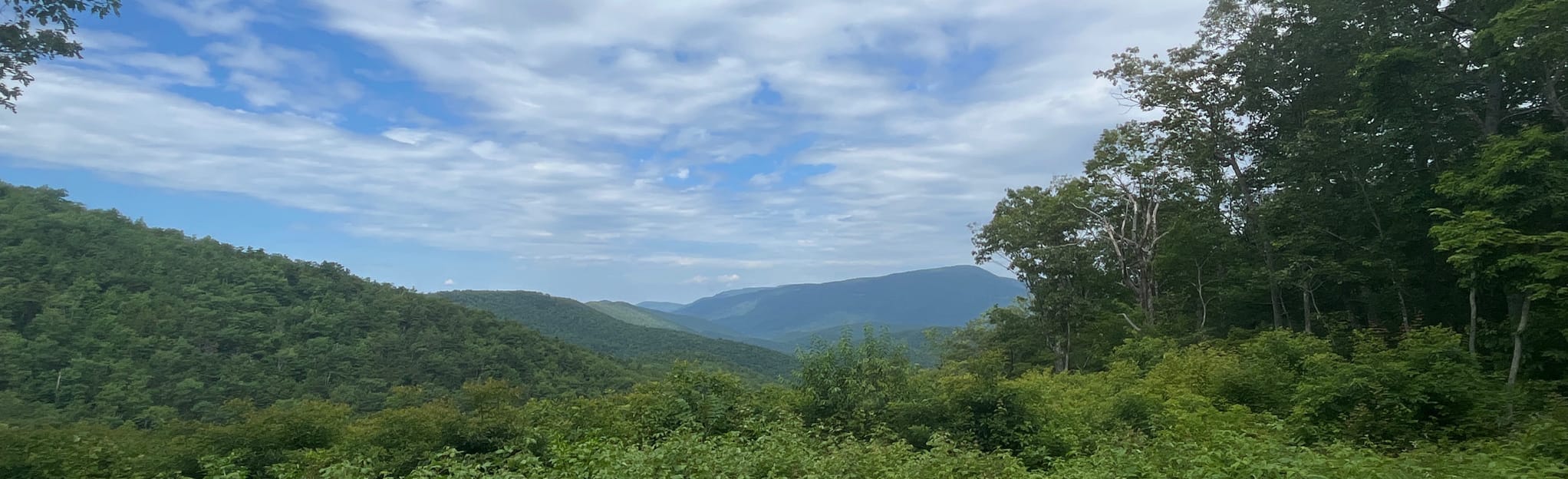 Torry Ridge Hike Lower Sherando - EyJidWNrZXQiOiJhc3NldHMuYWxsdHJhaWxzLmNvbSIsImtleSI6InVwbG9hZHMvcGhvdG8vaW1hZ2UvNDkxOTA2NjIvYjQwMzNhZDdlMGNiNTM5YzU4ZjdhZDU2MDNlZjE3MmQuanBnIiwiZWRpdHMiOnsidG9Gb3JtYXQiOiJqcGVnIiwicmVzaXplIjp7IndpZHRoIjoyMDQ0LCJoZWlnaHQiOjYyNCwiZml0IjoiY292ZXIifSwicm90YXRlIjpudWxsLCJqcGVnIjp7InRyZWxsaXNRdWFudGlzYXRpb24iOnRydWUsIm92ZXJzaG9vdERlcmluZ2luZyI6dHJ1ZSwib3B0aW1pc2VTY2FucyI6dHJ1ZSwicXVhbnRpc2F0aW9uVGFibGUiOjN9fX0=