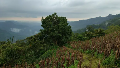 Best Hikes and Trails in Zoquiapan AllTrails