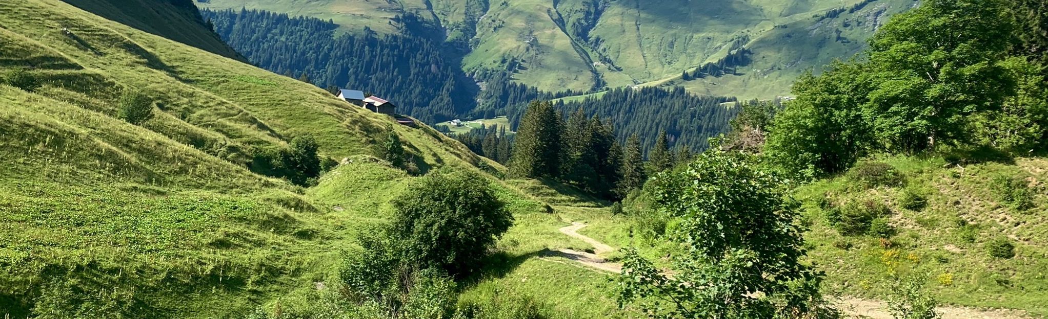 Via Alpina Red Trail, Segment 109: Cabane De Susanfe - Refuge Tornay 