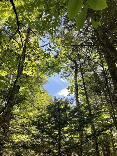 Best Hikes and Trails in Cooper Farm at Caterpillar Hill | AllTrails