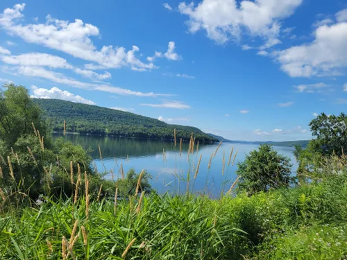 Best Hikes and Trails in Glimmerglass State Park | AllTrails