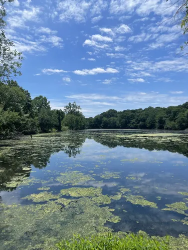 Caleb Smith State Park Parking