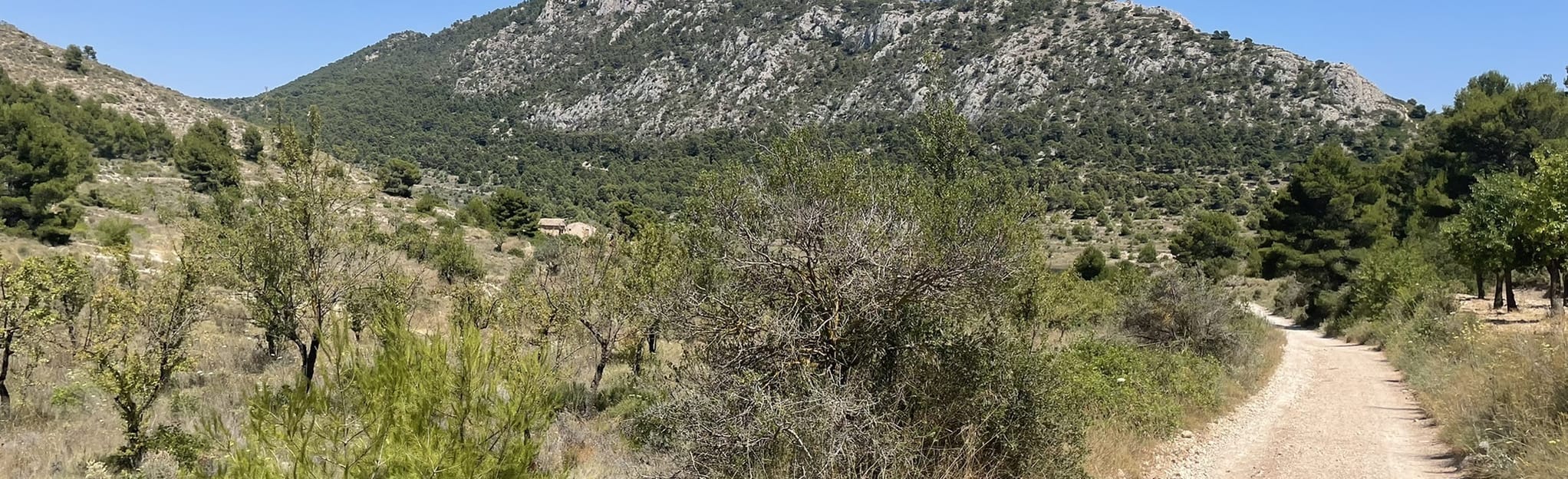 La Cuesta Subida a La Vella 63 foto's Alicante, Spanje Wandelen