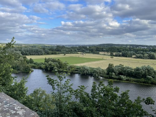 Witthausbusch
