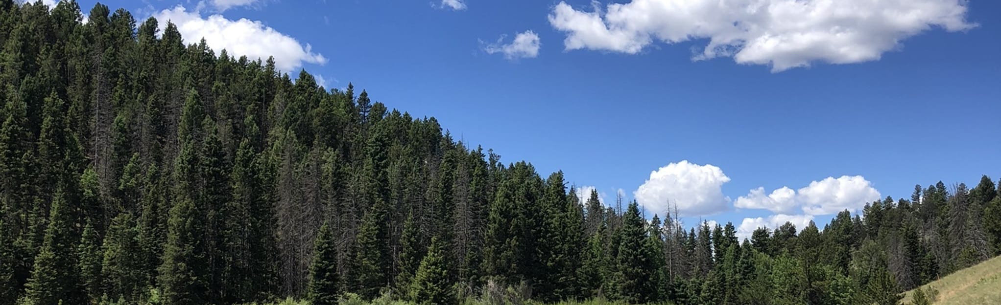 Lost, Geer, Rock, Brook, and School Ponds Loop 87 Reviews, Map