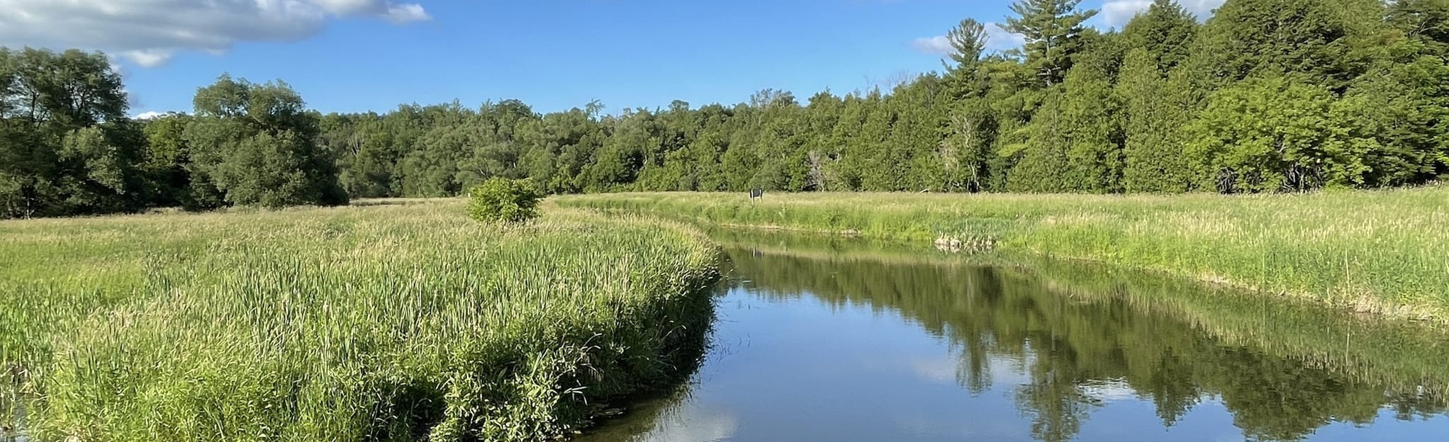 Whitevale and Seaton Hiking Trail Loop, Ontario, Canada 236 Reviews