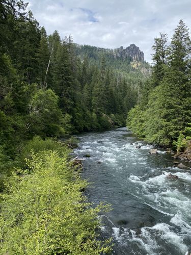 2023 Best 10 Mountain Biking Trails in Umpqua National Forest | AllTrails