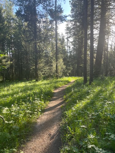 running trails near me that allow dogs