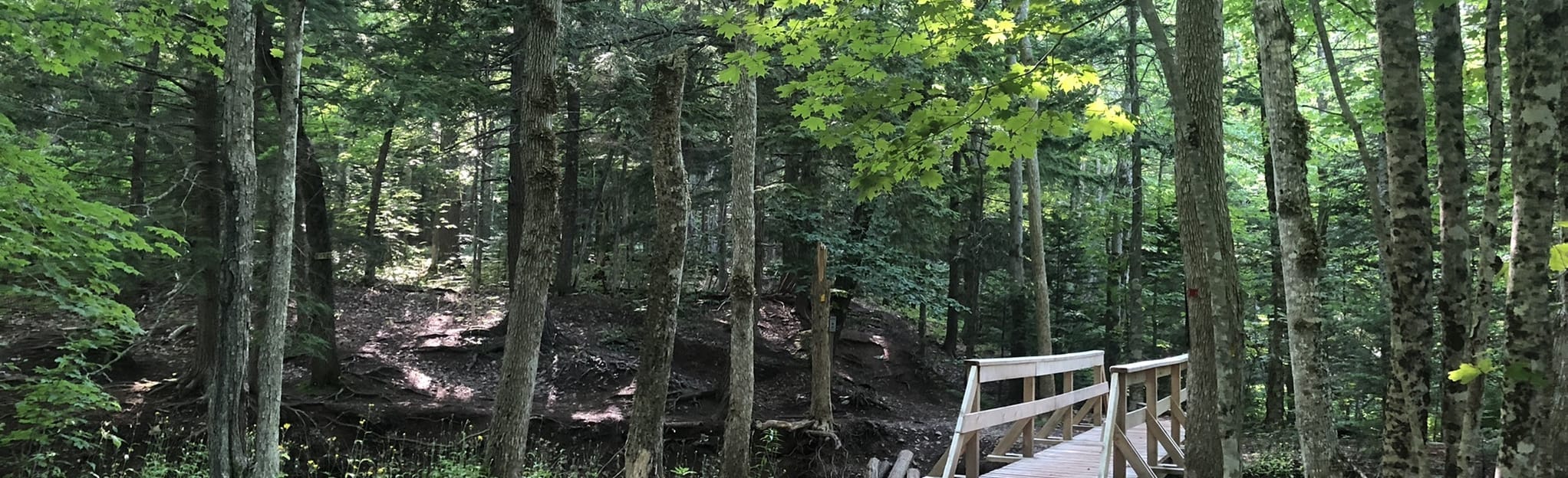 Scotsburn Loop, Nova Scotia, Canada 35 Reviews, Map AllTrails