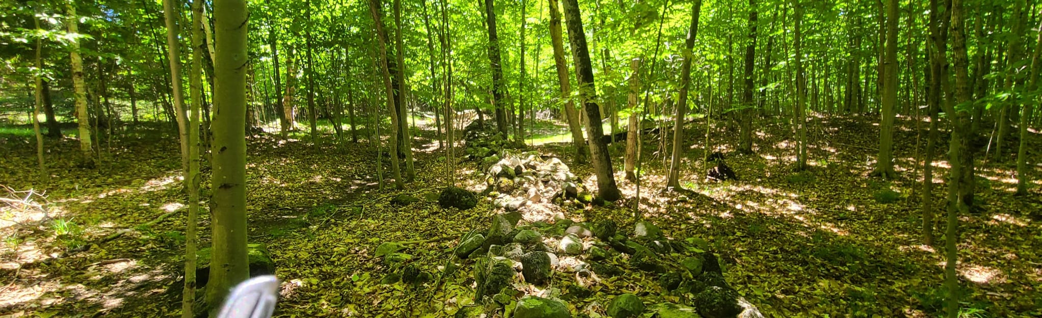 Clyde and Martha Williams Preserve Trail, Michigan 14 Reviews, Map