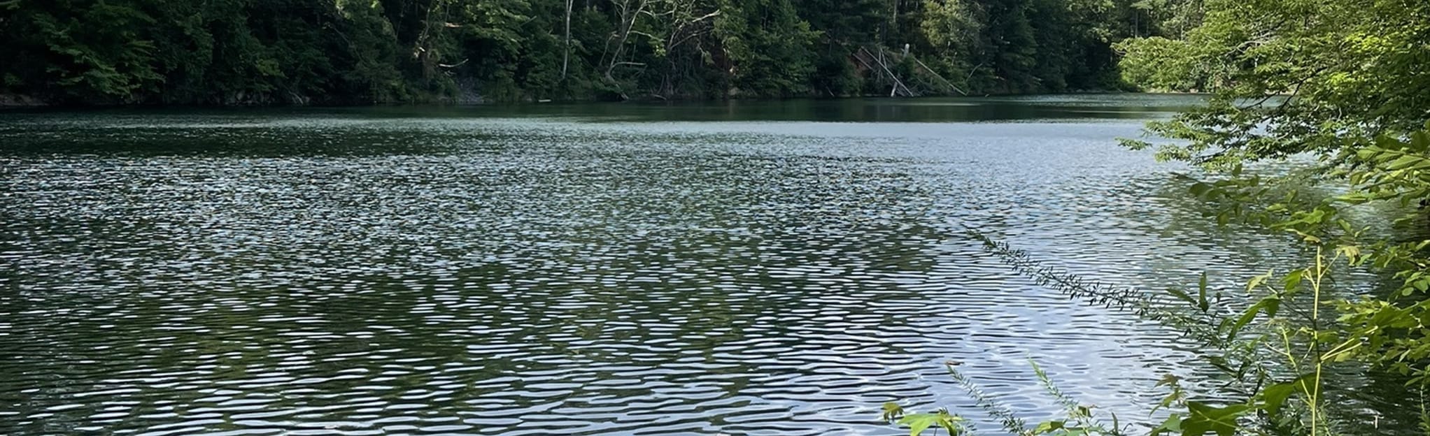 Laurel Bluffs Trail to Eno Quarry 1.059 foto's North Carolina