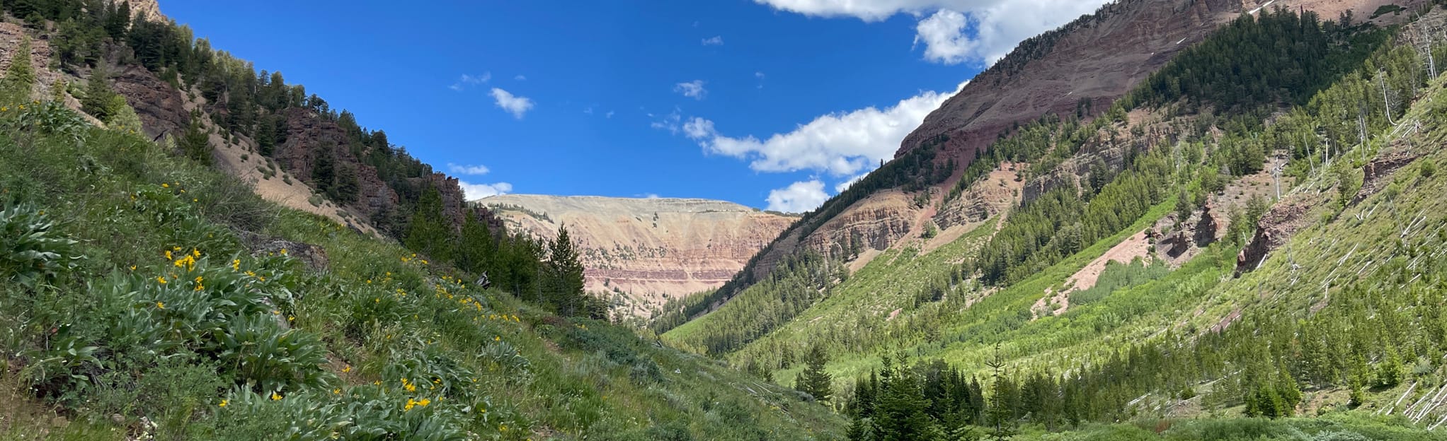 Box Canyon Falls 2 Reviews, Map Wyoming AllTrails