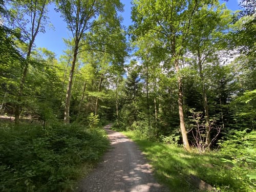 Wasserleitungsweg bei Birkenfeld