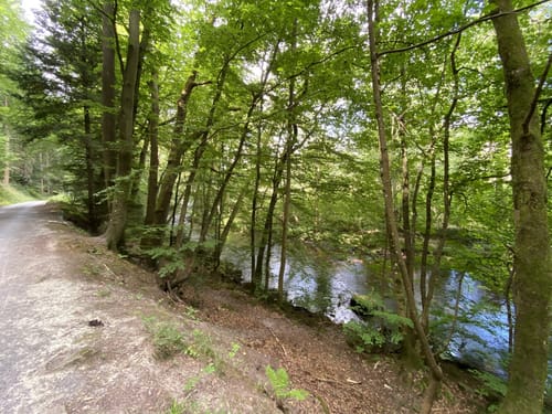 Wasserleitungsweg bei Birkenfeld