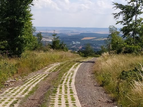 Zorge - Wendeleiche - Roter Schuss