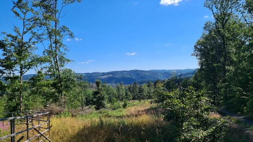 Dernau Rundweg auf Krausberg und Steinthalskopf