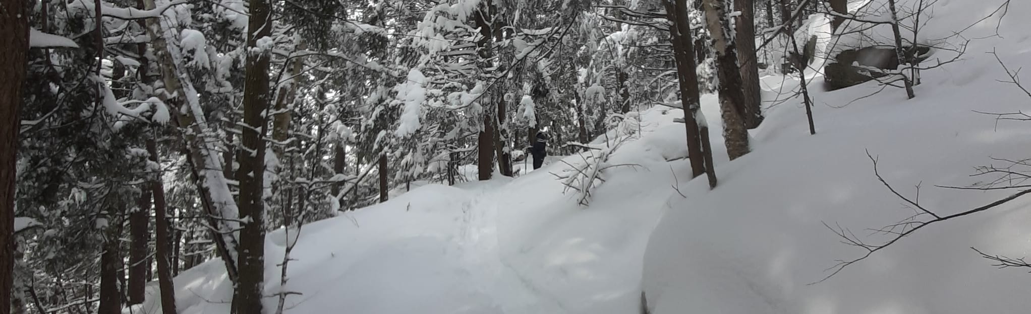 AllTrails Gates of Hell via 5th Row Road 10 Reviews, Map Quebec