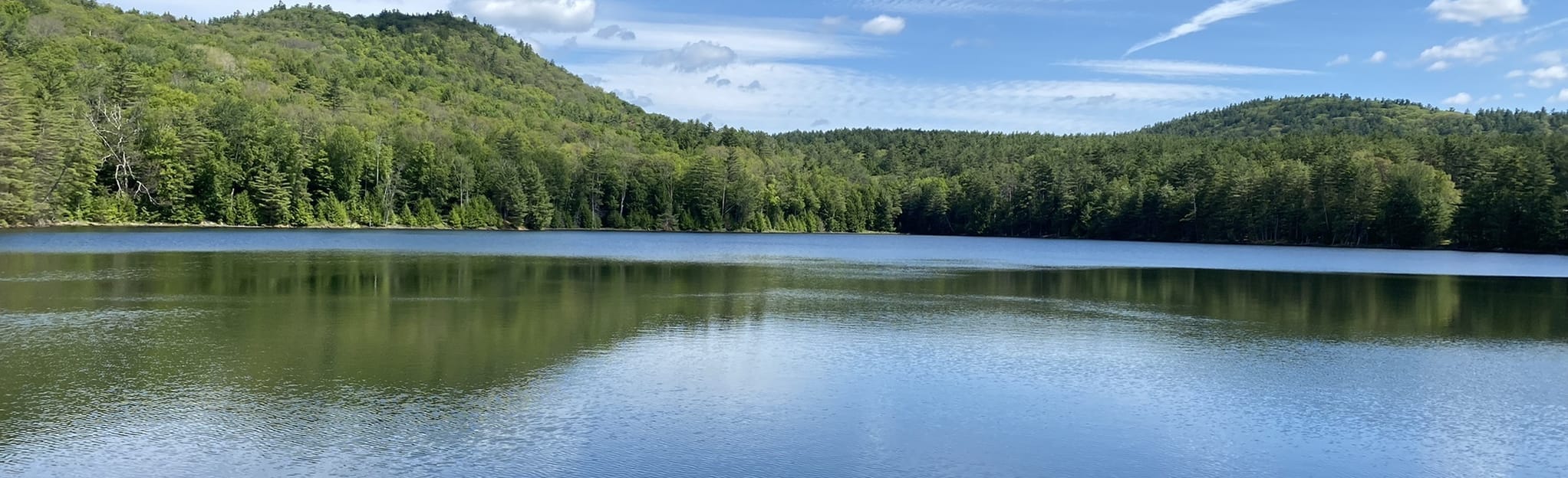 Thomas Mountain and Cat Mountain via Richard Hayes Phillips Trail, New York 40 Reviews, Map