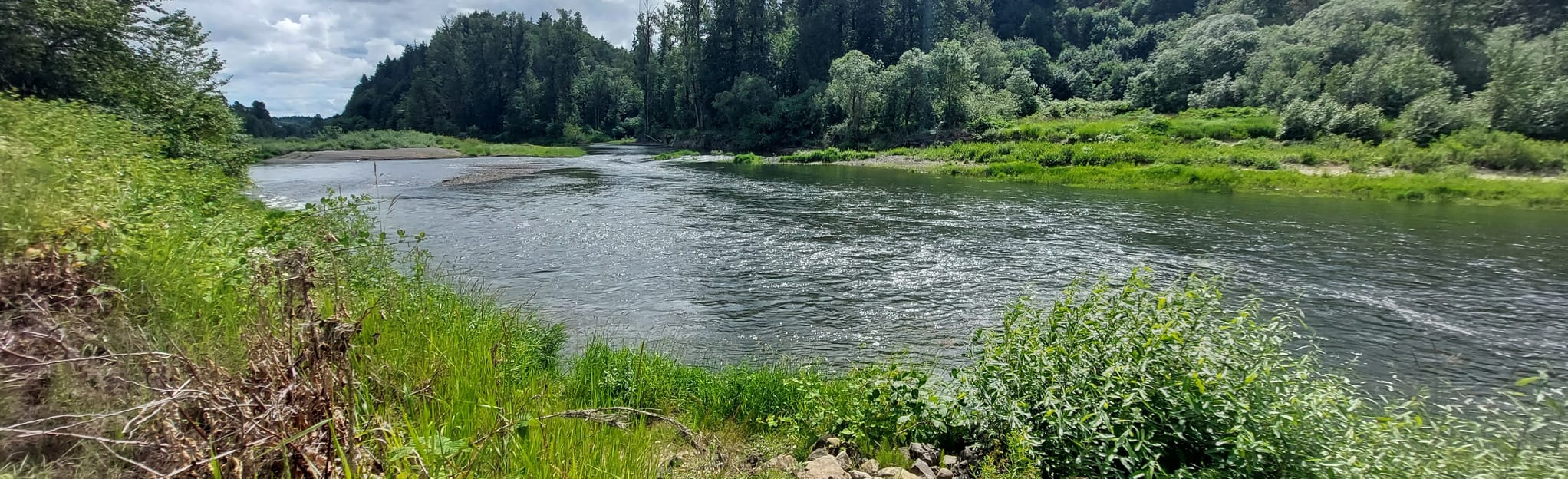 Chehalis River Discovery Trail, Washington 146 Reviews, Map AllTrails