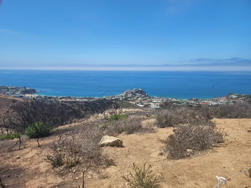 10 Best Hikes and Trails in Crystal - EyJidWNrZXQiOiJhc3NldHMuYWxsdHJhaWxzLmNvbSIsImtleSI6InVwbG9hZHMvcGhvdG8vaW1hZ2UvNDkyNDI2NTEvOTgxYjY1MDZiMmE4NmRiN2U3NGQyYTU0MjQ1MjAwZTAuanBnIiwiZWRpdHMiOnsidG9Gb3JtYXQiOiJ3ZWJwIiwicmVzaXplIjp7IndpZHRoIjo1MDAsImhlaWdodCI6NTAwLCJmaXQiOiJpbnNpZGUifSwicm90YXRlIjpudWxsLCJqcGVnIjp7InRyZWxsaXNRdWFudGlzYXRpb24iOnRydWUsIm92ZXJzaG9vdERlcmluZ2luZyI6dHJ1ZSwib3B0aW1pc2VTY2FucyI6dHJ1ZSwicXVhbnRpc2F0aW9uVGFibGUiOjN9fX0=